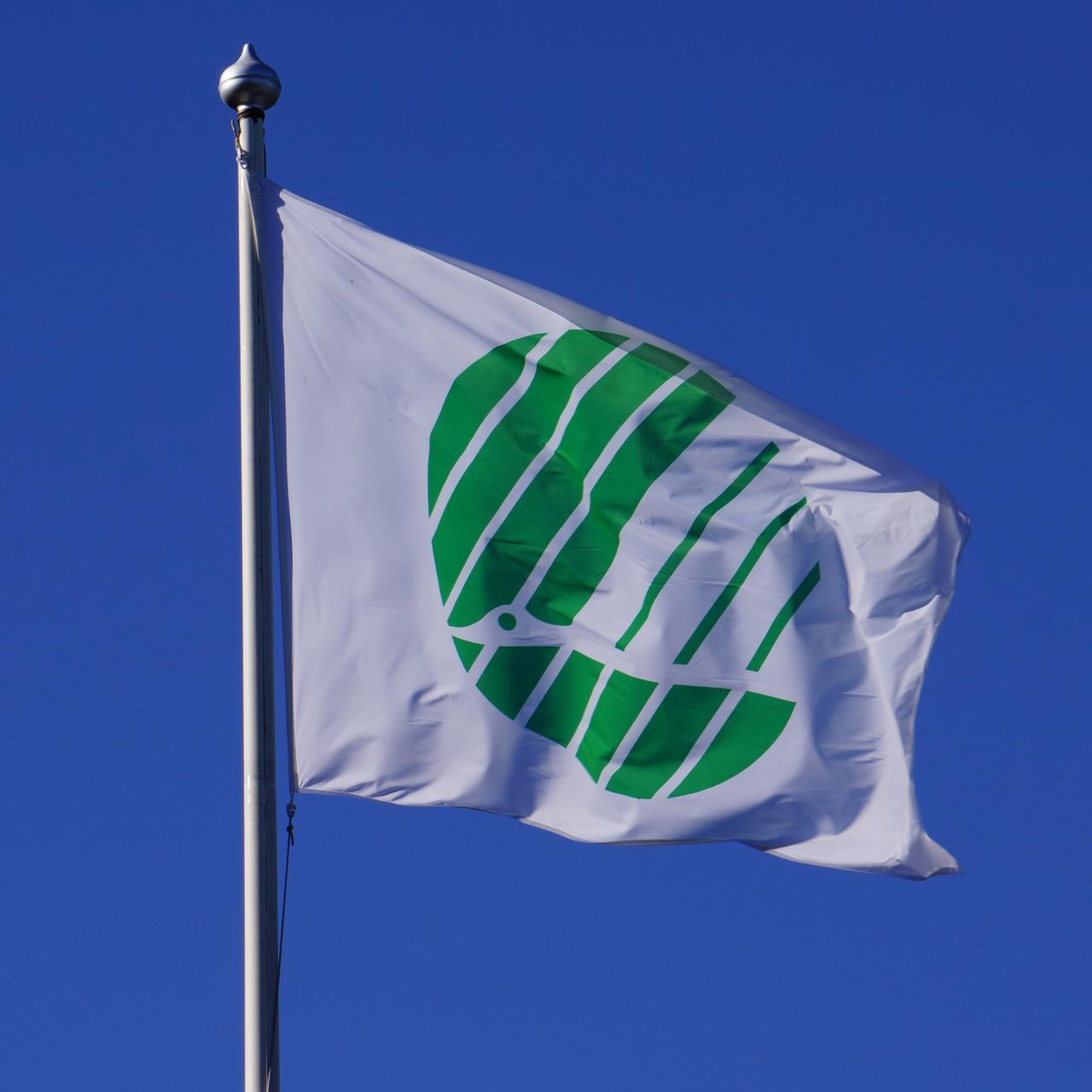 Iain's blog: October 2019 Sustainable Lifestyle Products and Their Market Impact